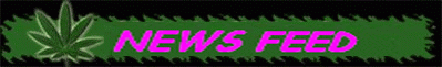 NEWS FEED
